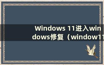 Windows 11进入windows修复（window11修复）